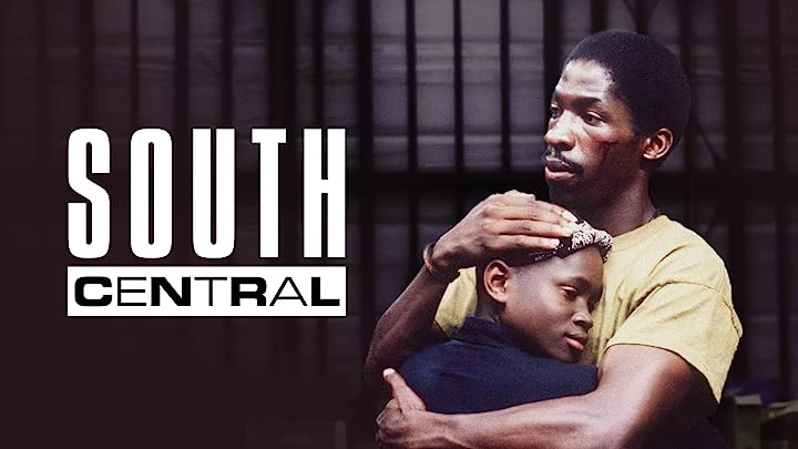 movies like Boyz n the hood - South Central (1992)